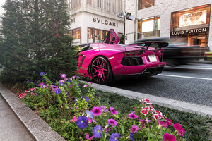 Lamborghini